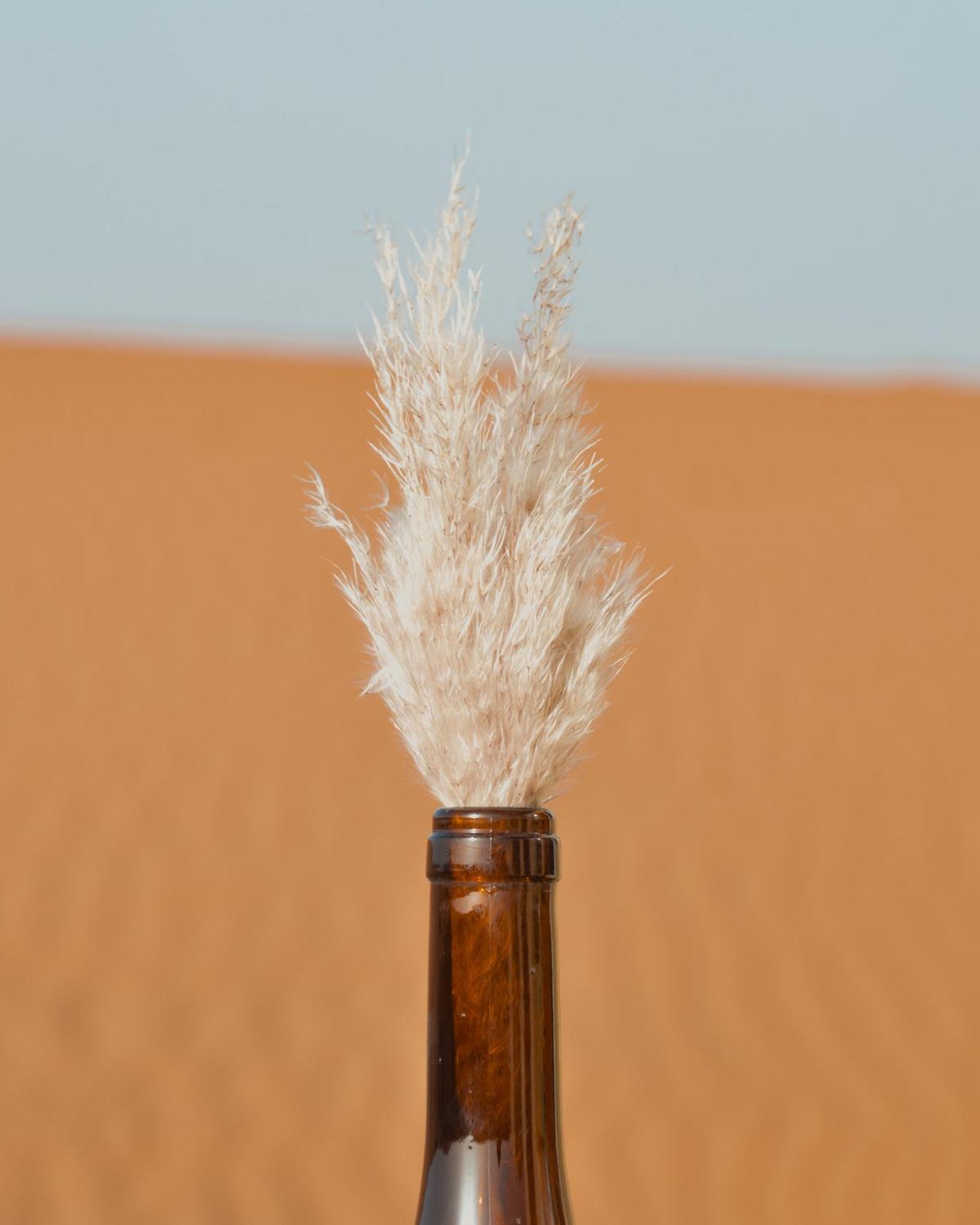 Bohem Camp Hotel Merzouga Buitenkant foto